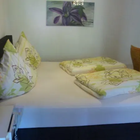 Apartment Schwarzwaldhaus Elzach
