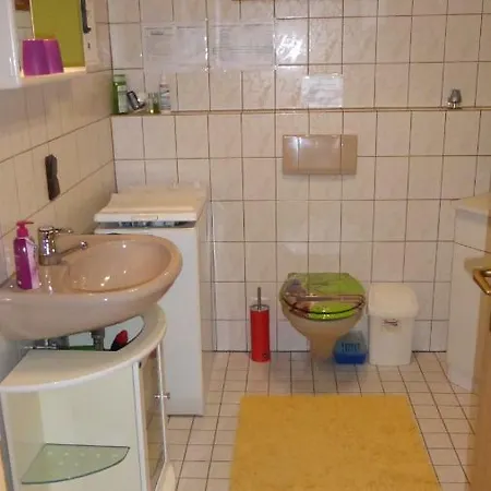 Schwarzwaldhaus Apartment Elzach